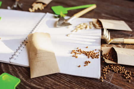 planner with seeds spilled next to it